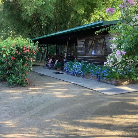 Bamboe Villa Meerzorg Dış mekan fotoğraf