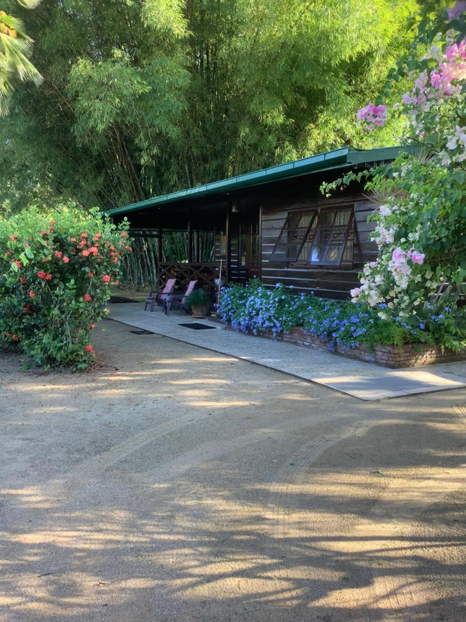 Bamboe Villa Meerzorg Dış mekan fotoğraf